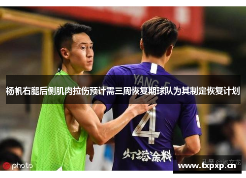 杨帆右腿后侧肌肉拉伤预计需三周恢复期球队为其制定恢复计划