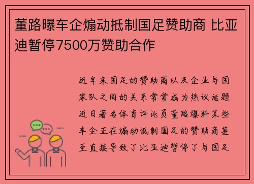 董路曝车企煽动抵制国足赞助商 比亚迪暂停7500万赞助合作
